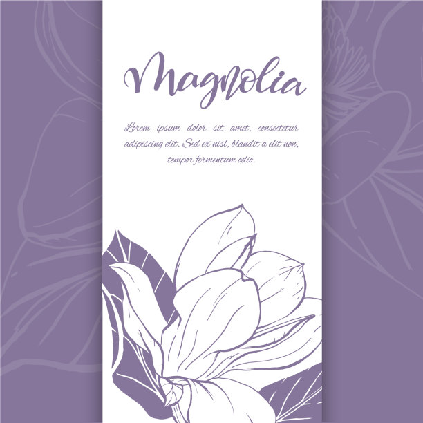 速写木兰花线形开花图片下载