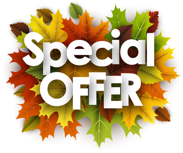 秋季特价背景与树叶图片下载