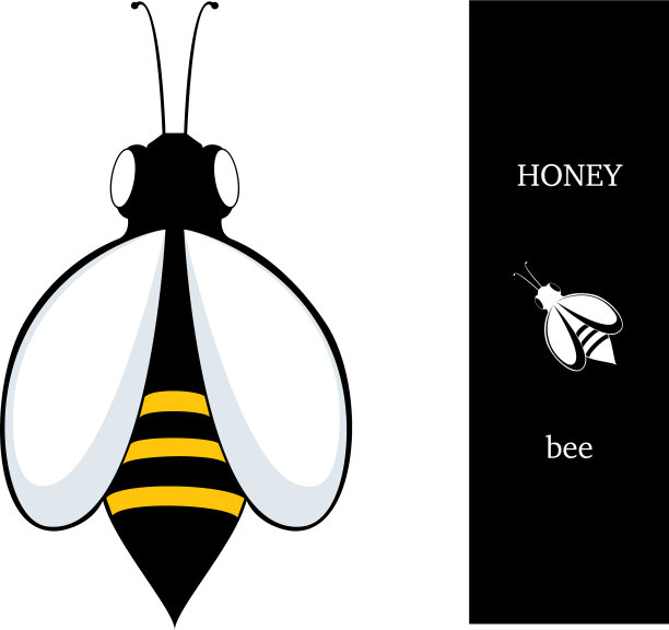 蜜蜂蜂蜜图片下载