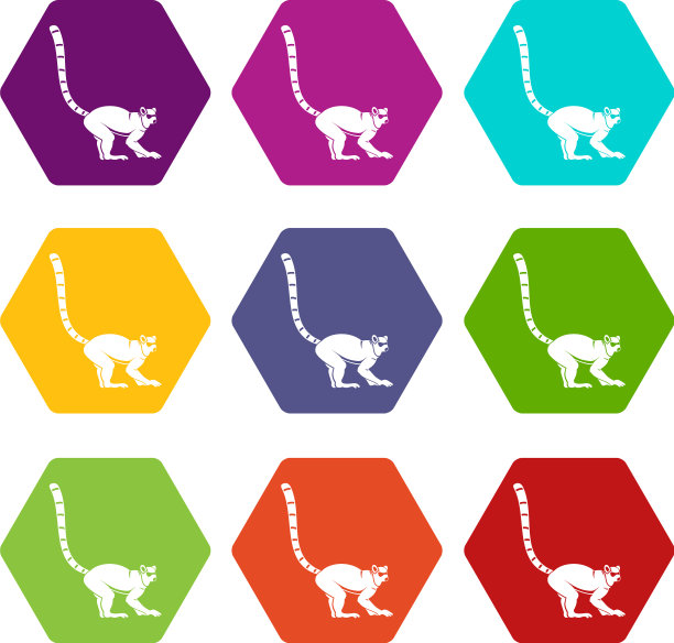 狐猴图标设置彩色六面体图片下载