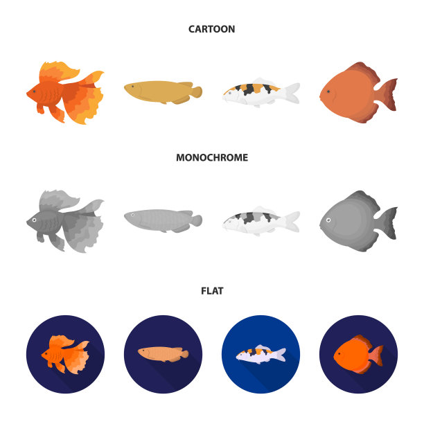 铁饼、金鲤、锦鲤、石斑鱼图片下载