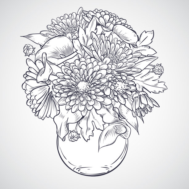 一束马蹄莲和菊花图片下载