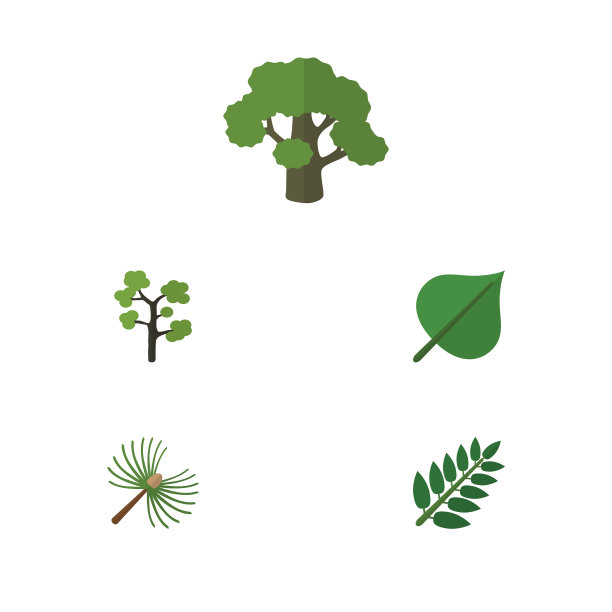 平面图标自然设置相思叶花园图片下载