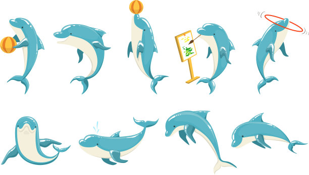 宽吻海豚表演魔术套图片下载