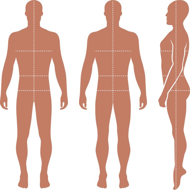 时尚光头男子全长模板图图片下载
