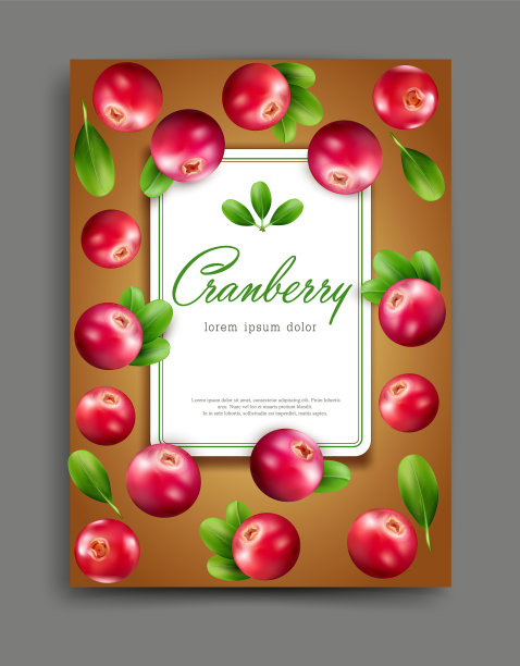 插图与现实的蔓越莓孤立图片下载