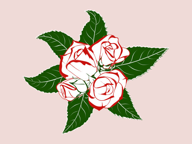 带叶的钮花玫瑰图片下载