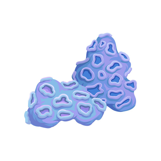 水下植物水生的海洋藻类图片下载