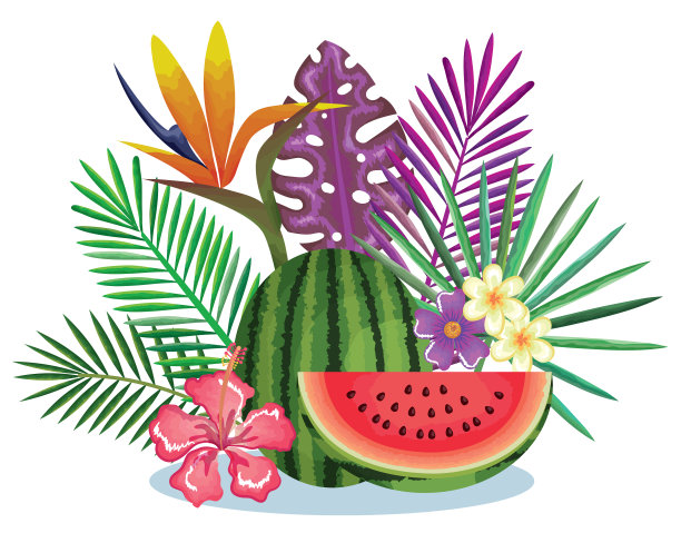热带西瓜花园图片下载