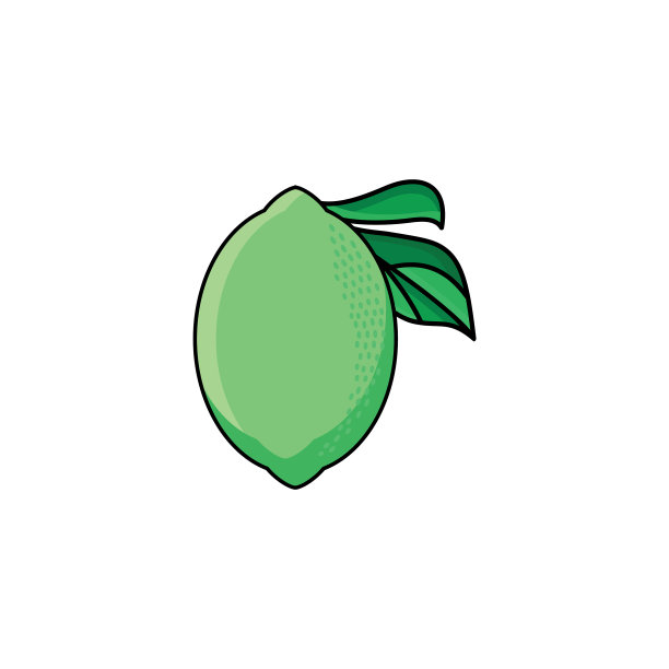 平坦的素描风格，绿色，新鲜，成熟的酸橙图片下载