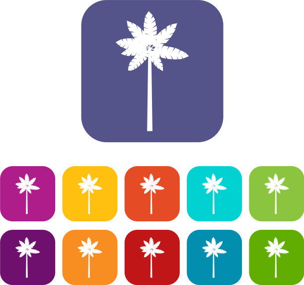 棕榈木本植物图标集图片下载