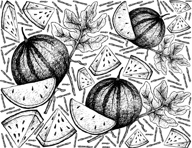 手绘鲜糖宝贝西瓜的背景图片下载