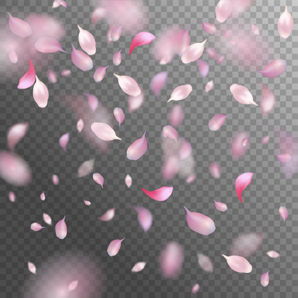 花瓣飞图片下载