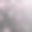 花瓣飞图片下载