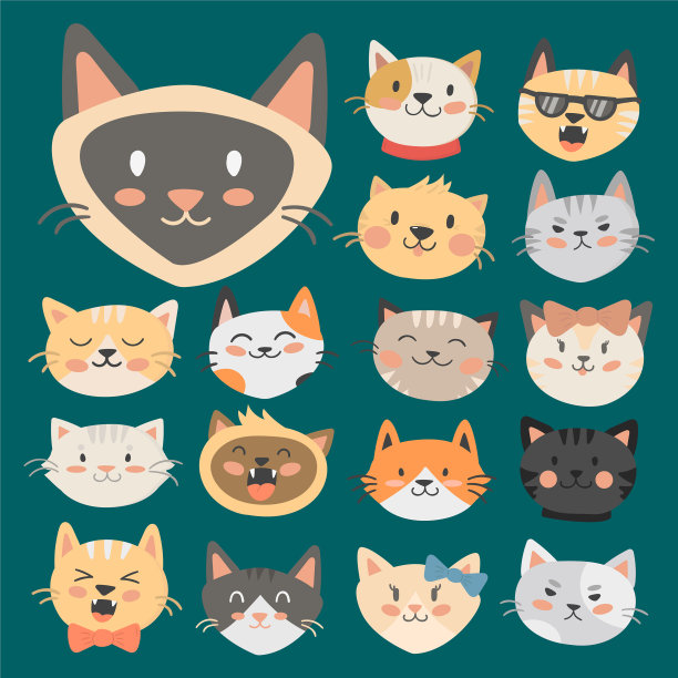 猫的头可爱的动物有趣图片下载