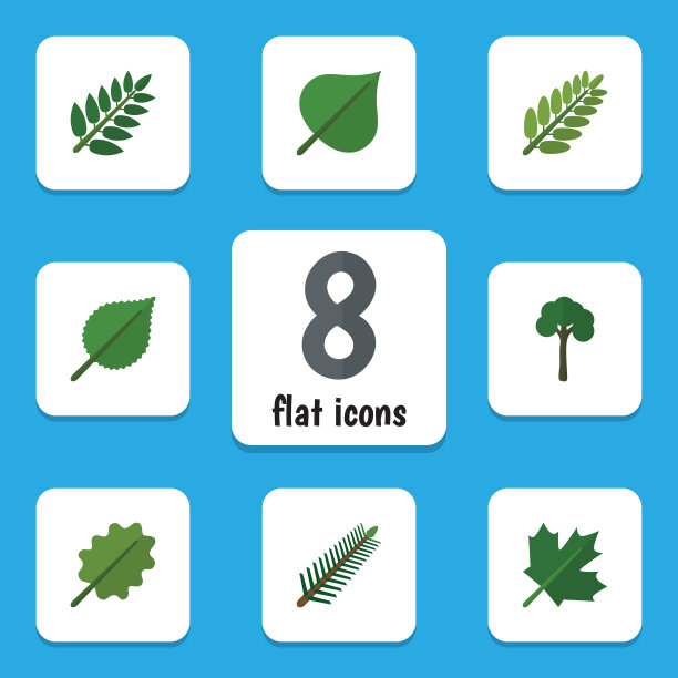 平面图标自然云杉叶套相思图片下载