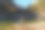 美丽的女孩旅行者在红色的秋天湖图片下载