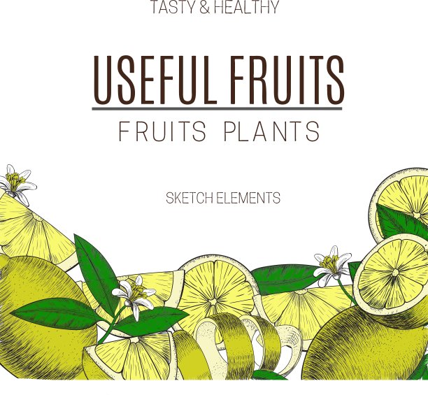 设计柠檬用墨水手绘整体图片下载