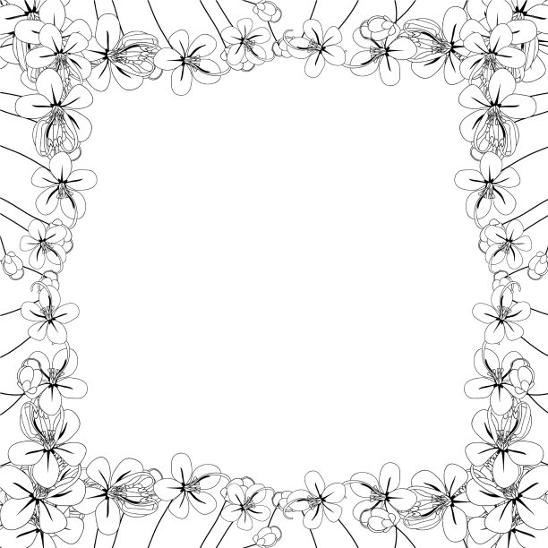 决明子瘘管-金色淋浴花轮廓图片下载