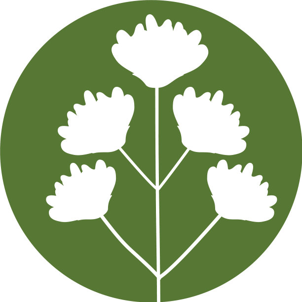 花朵精致自然的象征图片下载