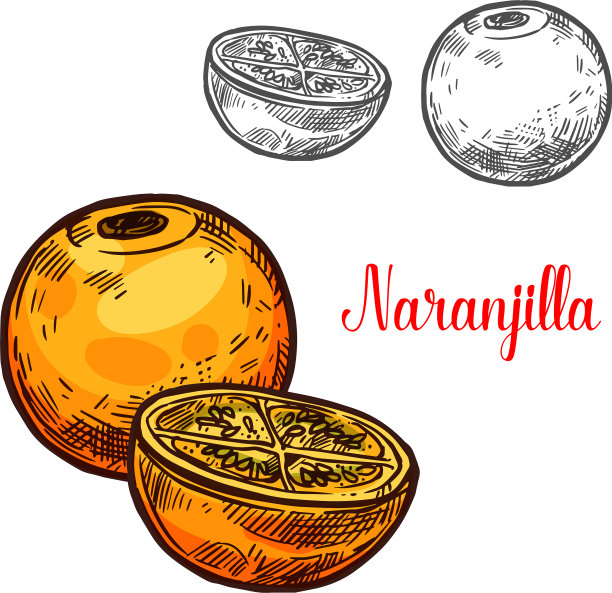 景观设计和园艺服务横幅图片下载