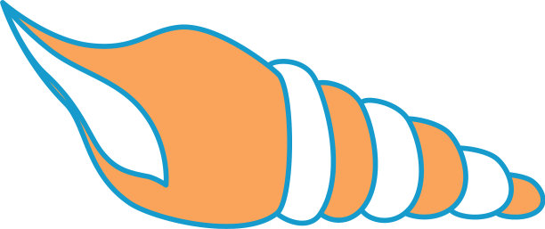 孤立的海滩贝壳图片下载