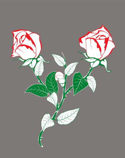 有花蕾的玫瑰花枝图片下载