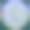 丛林平Background28图片下载