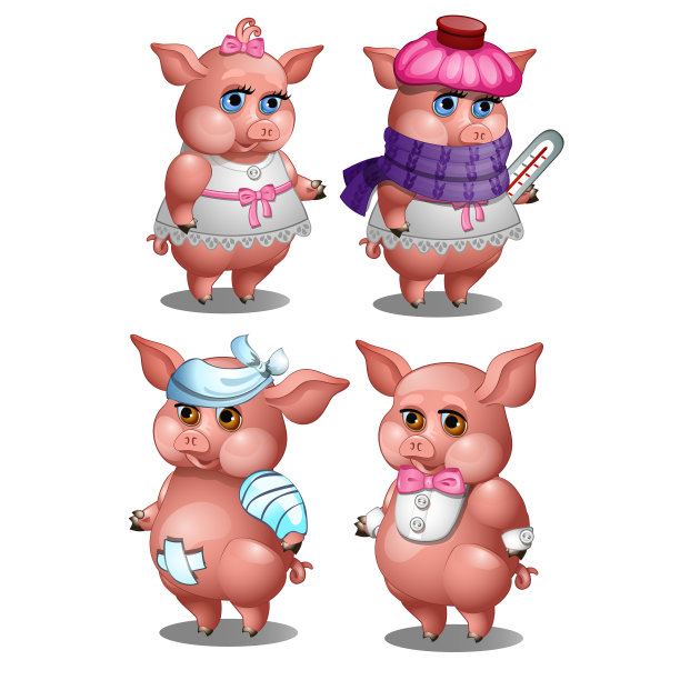 健康和患病猪隔离在白色图片下载