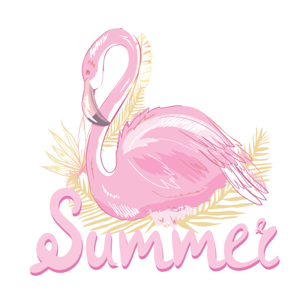 粉红色的火烈鸟图片下载