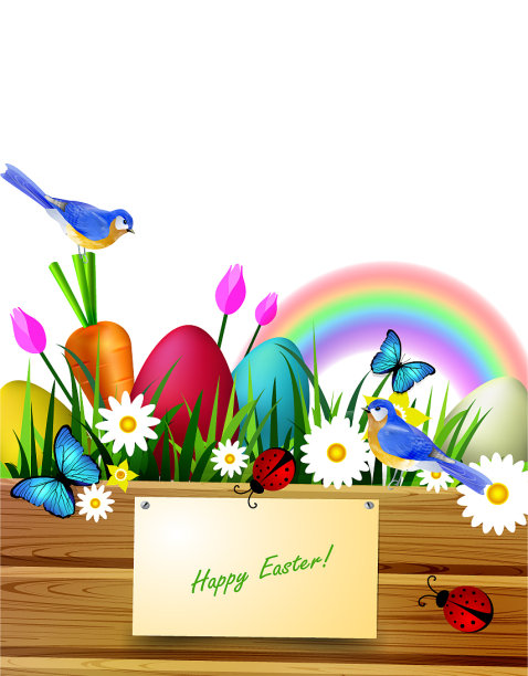 草坪上的木板图片下载