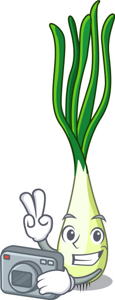 摄影师卡通新鲜大葱图片下载