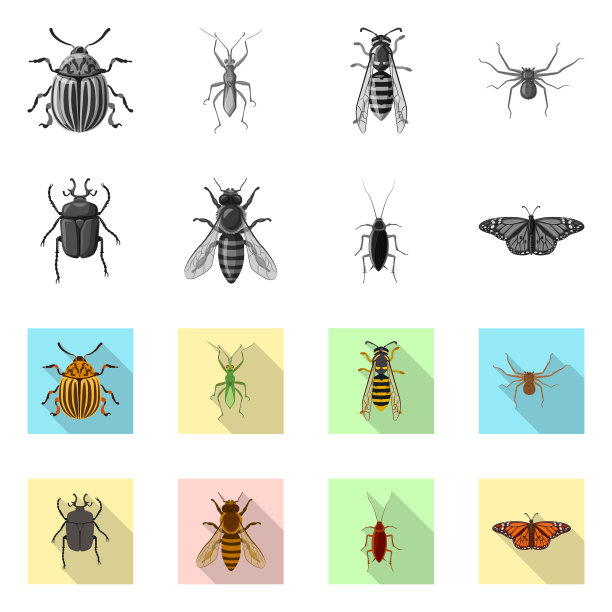 昆虫和苍蝇标志图片下载