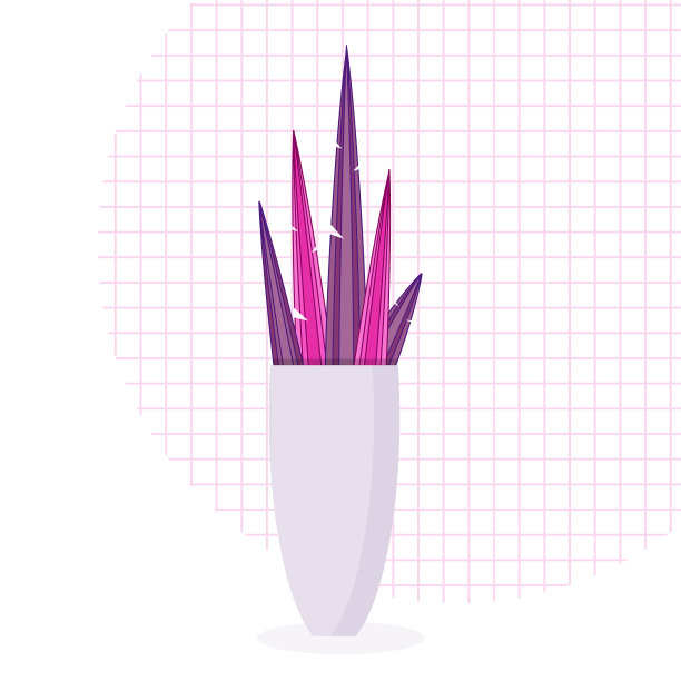 异国情调的热带室内植物母法舌图片下载