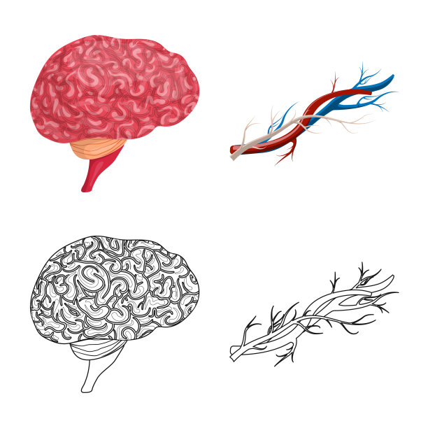 孤立对象的身体和人类的象征图片下载