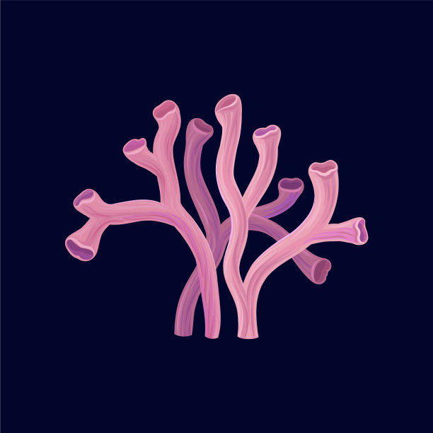 粉红色的热带珊瑚在黑暗中图片下载