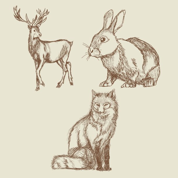 动物手绘收藏古董图片下载