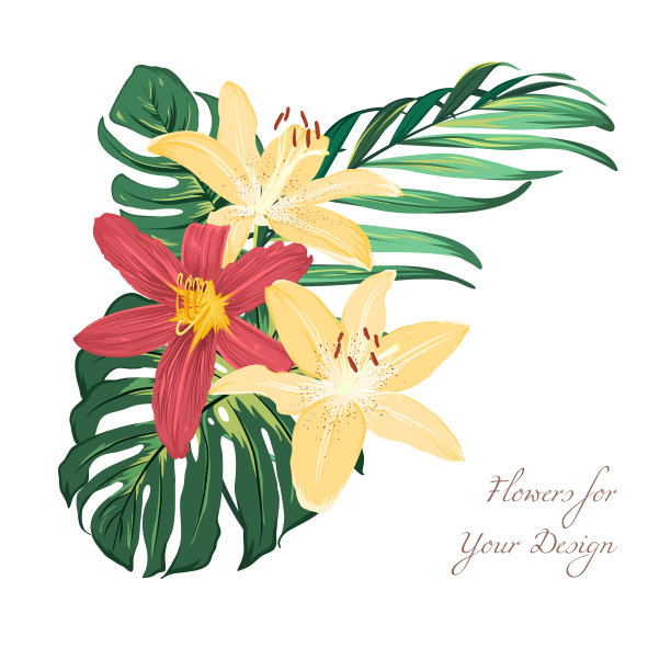 奇异的百合，热带的绿叶花束图片下载