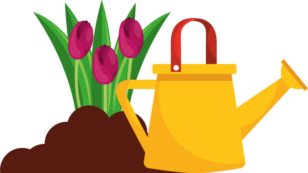 美丽的玫瑰种植与喷头图片下载