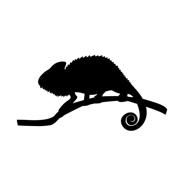 变色龙蜥蜴爬行动物黑色剪影图片下载