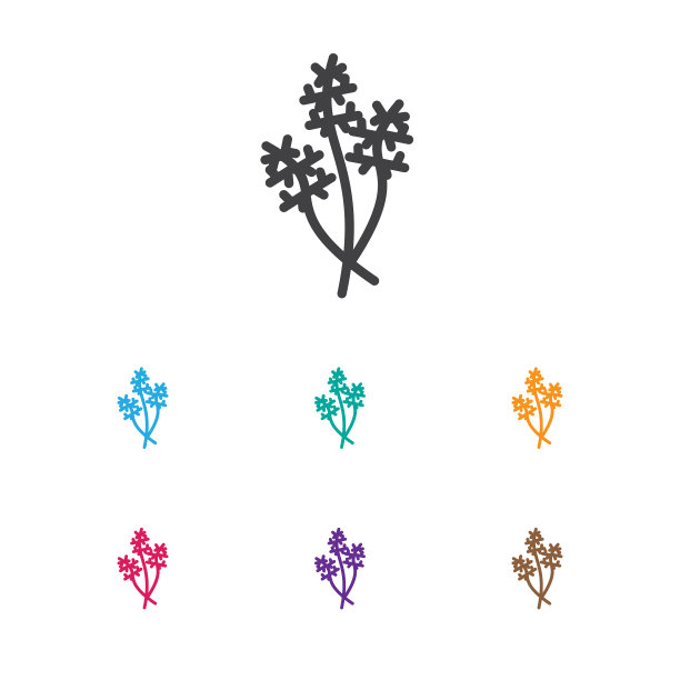 在莳萝上的炊具符号图片下载