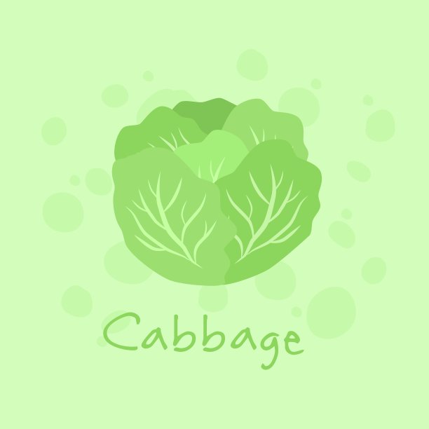 蔬菜白菜自然图片下载