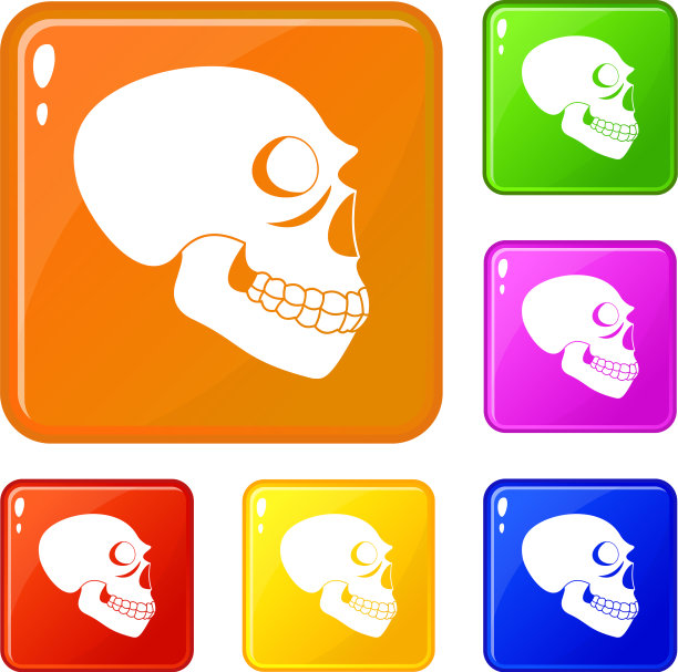 骷髅图标套装颜色图片下载