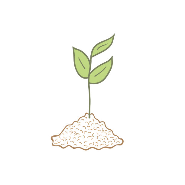 地上长着绿芽图片下载