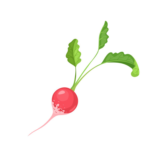 萝卜图标孤立图片下载