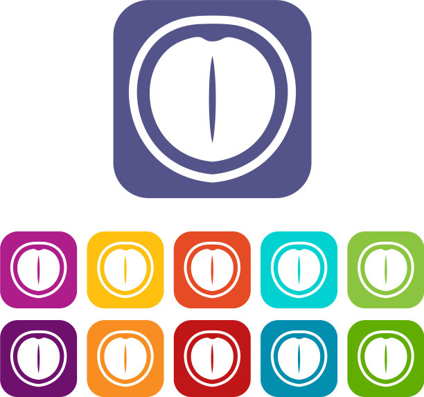 澳洲坚果图标设置平图片下载