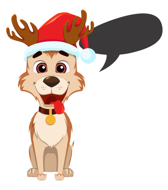 滑稽的狗戴着圣诞老人的帽子和空图片下载