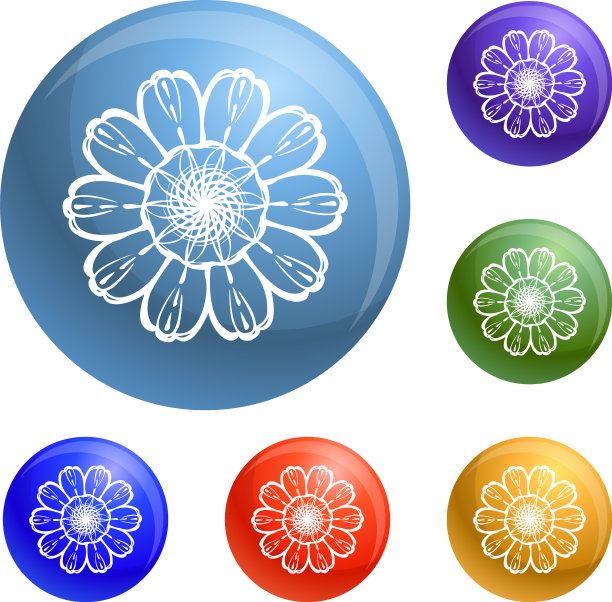 顶视图金盏花图标设置图片下载