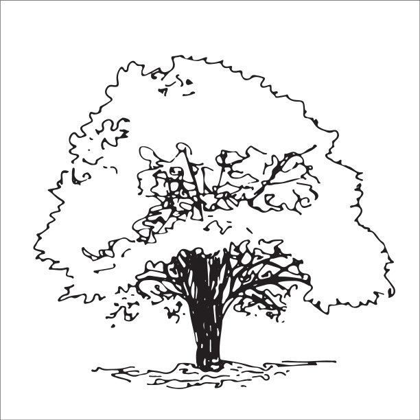 树素描建筑师手绘景观元素图片下载