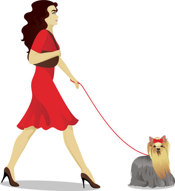 女孩们在遛约克郡犬图片下载